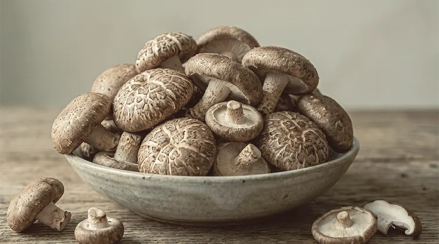 Jamur Shiitake (Lentinula edodes)