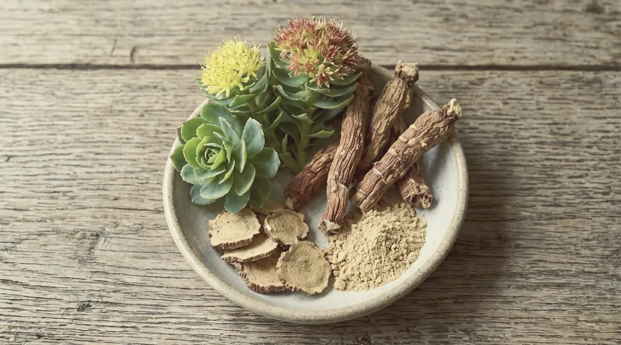 Rhodiola Rosea