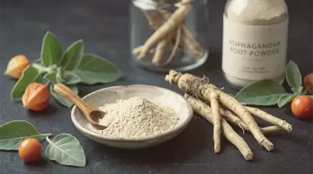 Ashwagandha: Menjinakkan Hormon Stres dan Memulihkan Energi Lewat Jalur Adaptogen Holistik