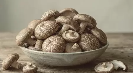 Jamur Shiitake: Raja Jamur untuk Memperkuat Imunitas Selular dan Kesehatan Usus