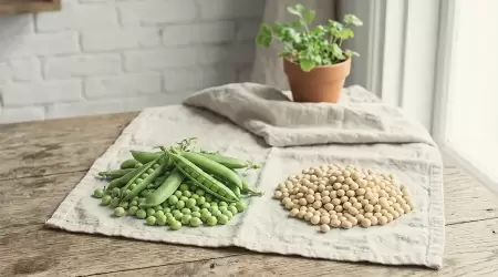 Duel Protein Nabati Modern: Pilih Pea Protein atau Soy Protein untuk Otot Kencang?