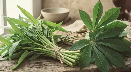 Trik Mengolah Daun Singkong dan Kangkung Biar Rasanya Mewah, Tinggi Serat, dan Minim Minyak